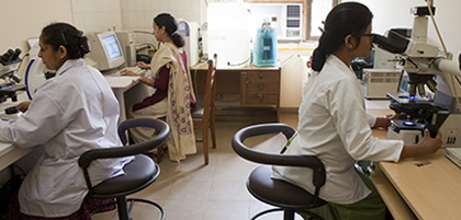 Scientists in a lap looking into microscopes and at computers