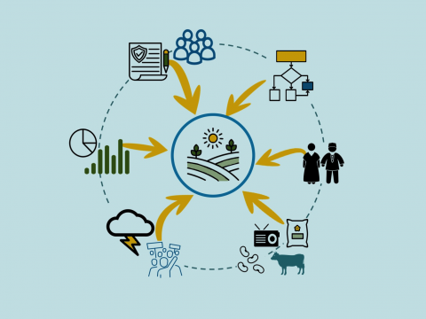 Agricultural Policies