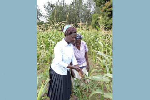 Crop Disease Surveillance