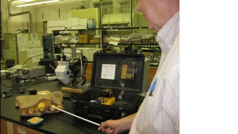 Protecting Crop Plants: A Mold and Insect Detector