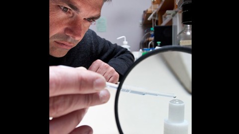 New Approaches to Neglected Tropical Diseases: Testing a Cell Phone Tool to Monitor Soil-Transmitted Parasitic Worms
