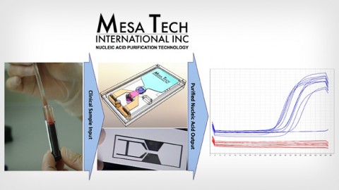 Sample Preparation Without Instrumentation or User Intervention