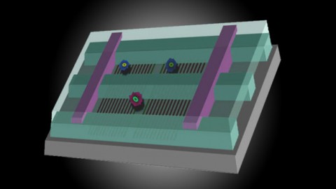 Protecting Against Infectious Disease: A Microchip to Assess Functioning of T-cells